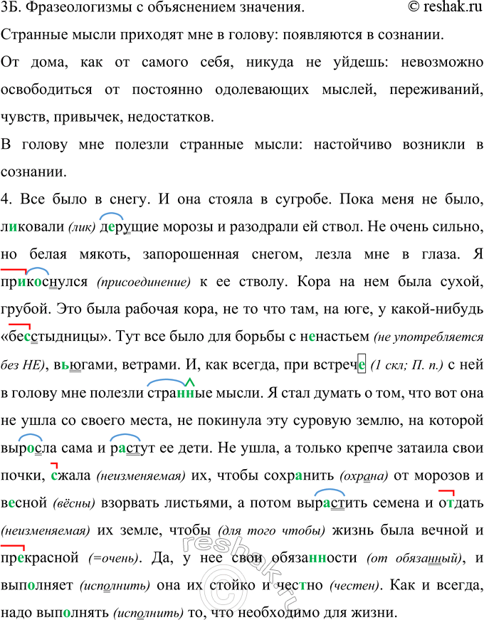 Дополнительное изображение